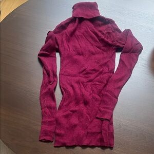 Express Deep Red Turtleneck Sweater